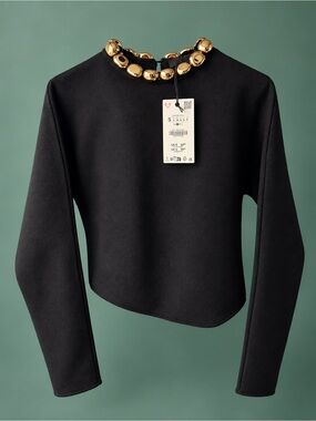 Zara Statement Top